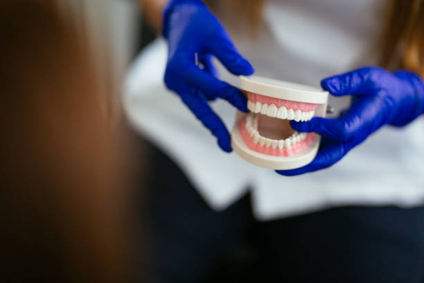 Best Dentures (Full and Partial)  in South Brooksville, FL